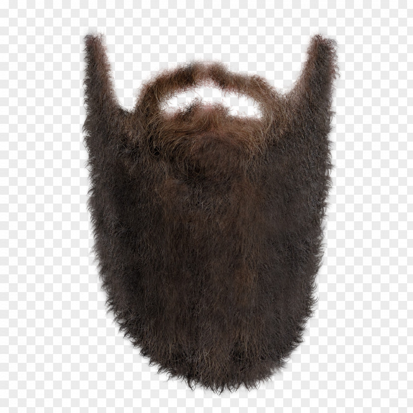 Transparent Long Beard PNG