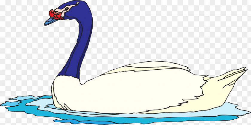 Duck Cygnini Goose Bird Clip Art PNG
