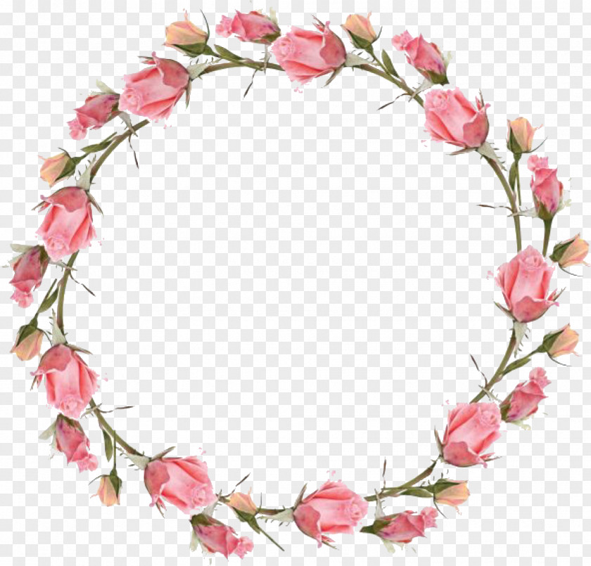 Floral Watercolour Wreath Clip Art Picture Frames Image Psd PNG