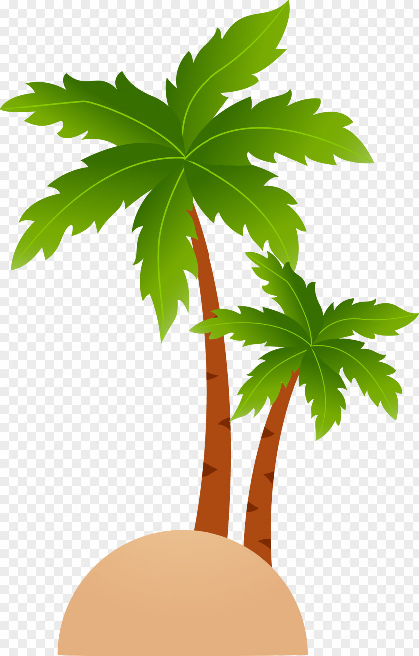 Fresh Coconut Tree Vector Tropical Islands Resort Cartoon Clip Art PNG