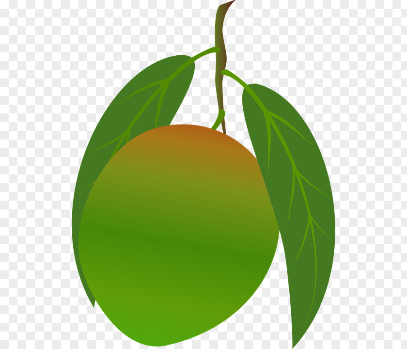 Mango Vegetarian Cuisine Mangifera Indica Clip Art PNG