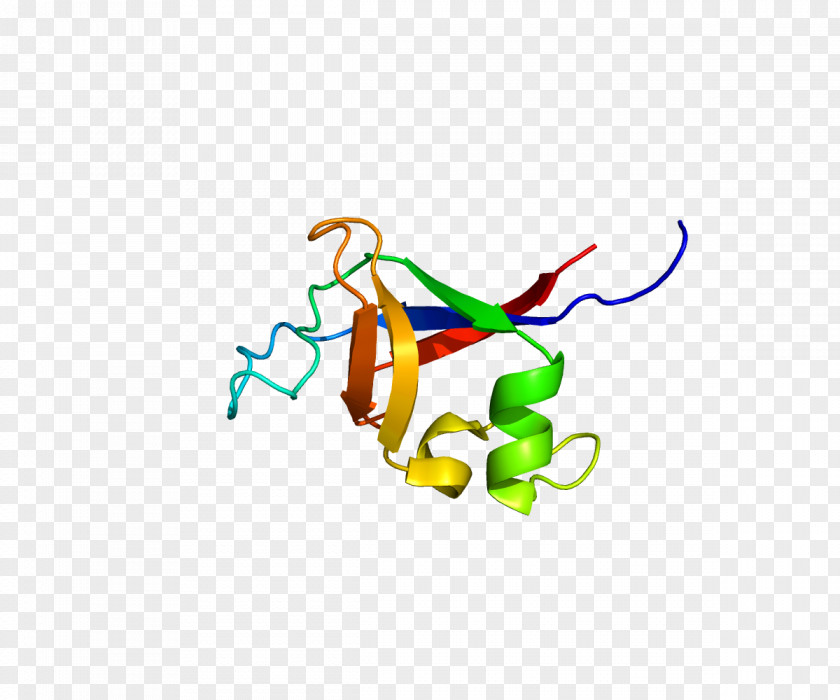 PIK3R2 Phosphoinositide 3-kinase Protein Kinase FYN PNG
