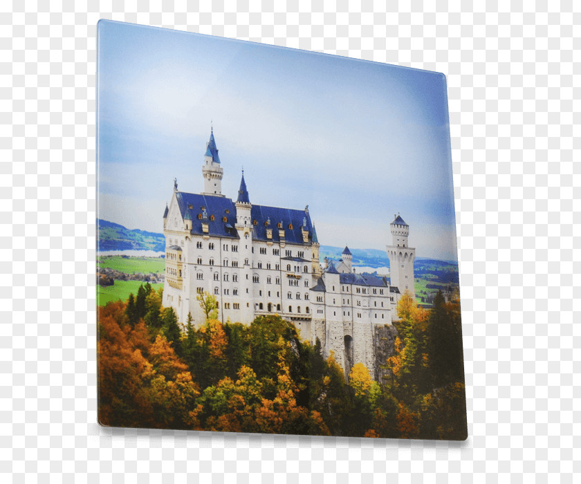 Castle Neuschwanstein Hohenschwangau Heidelberg Eltz Füssen PNG