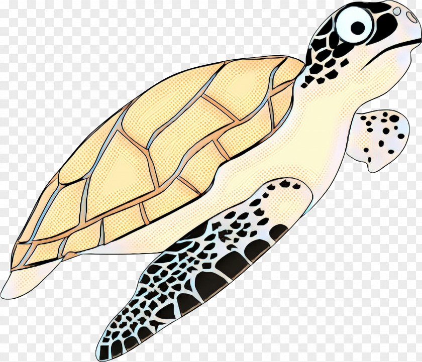 Clip Art Vector Graphics Turtle Drawing PNG