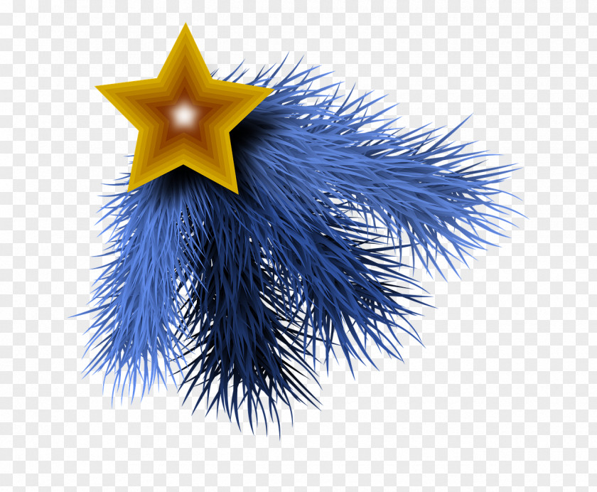Electric Blue Plant Christmas Tree PNG
