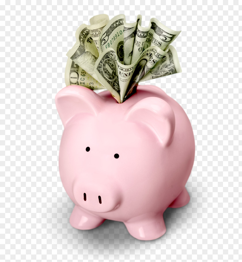 Piggy Bank Saving Snout PNG