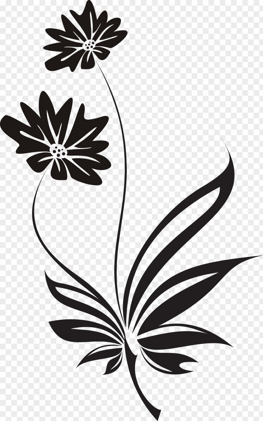 Plant Plants Trivia Flower Black And White PNG