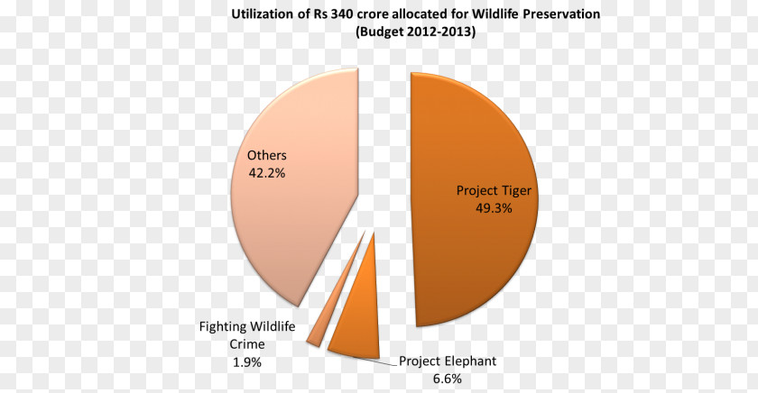 Project Tiger Charter Of Fundamental Rights The European Union Commission Civil And Political PNG