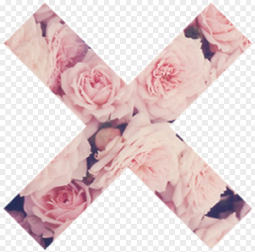 Rose Desktop Wallpaper Roses Flower Pink PNG