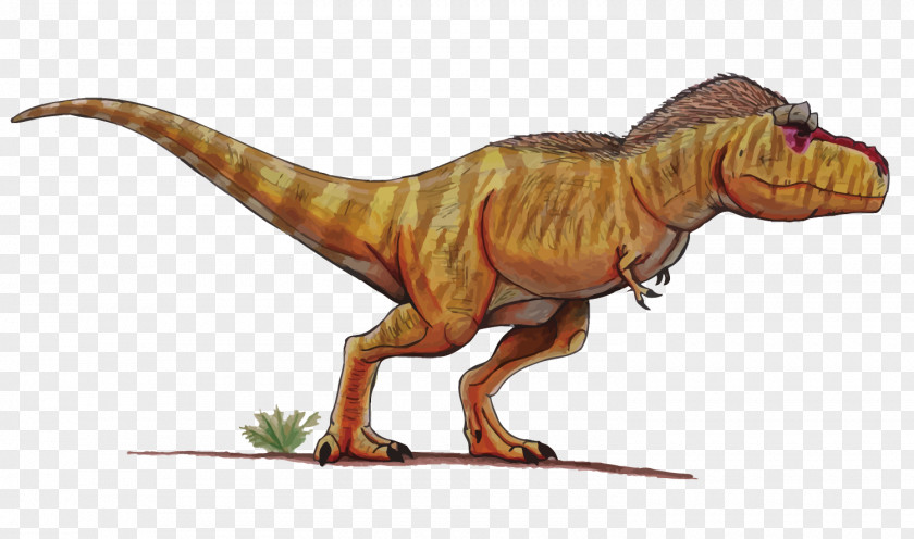 Vector Dinosaurs Tyrannosaurus Velociraptor Dinosaur PNG