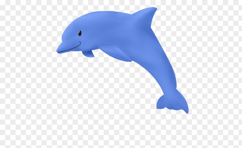 Blue Dolphin Common Bottlenose Drawing Clip Art PNG