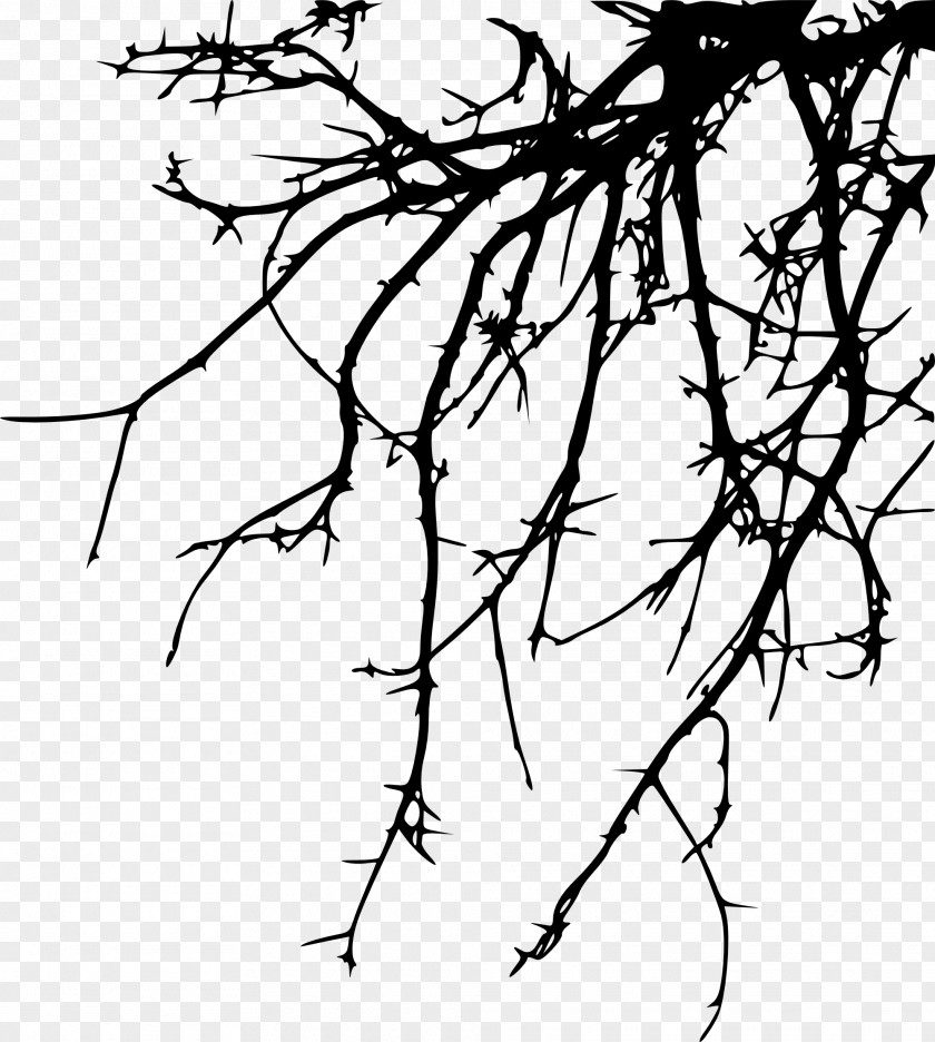 Branches Silouhette Twig Branch Drawing Clip Art PNG