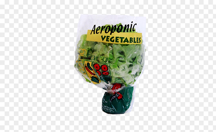 English Oak Leaf Product Vegetable Plastic Herb PNG