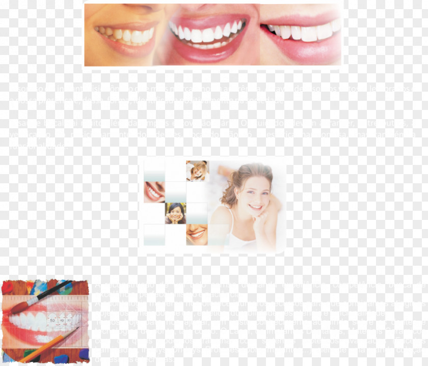 Health Dentistry Human Tooth Beauty.m PNG