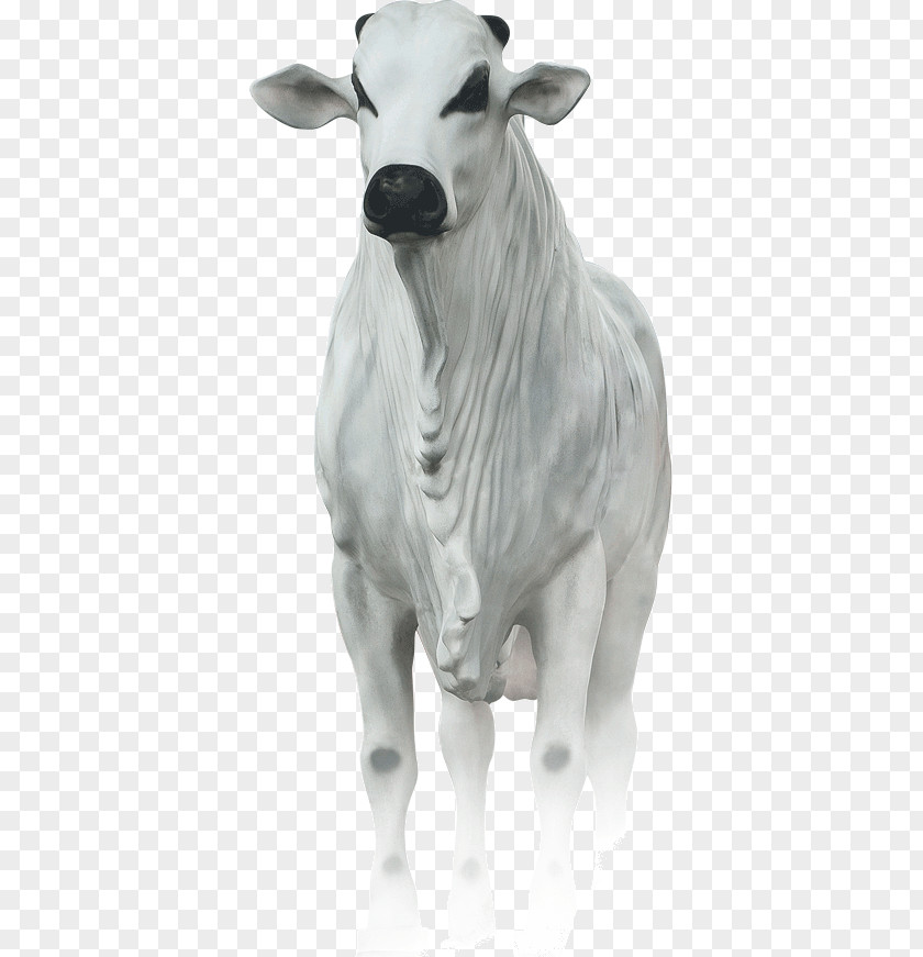 Blackandwhite Wildlife Goat Cartoon PNG