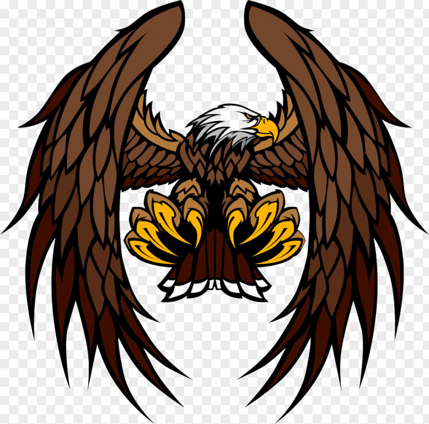 Eagle Vector Bald Clip Art PNG