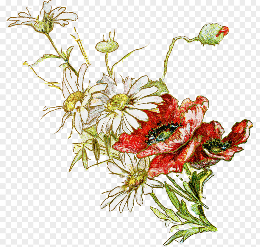 Flower PNG