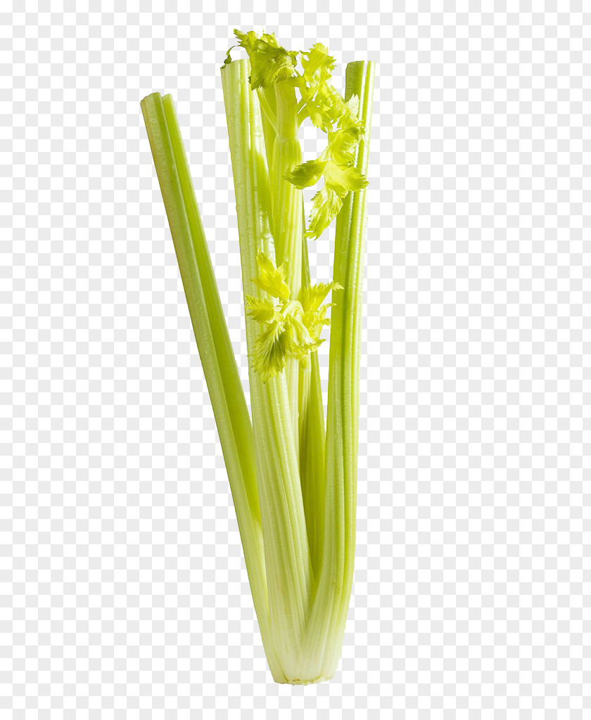 Free Image Pull Celery Vegetable PNG