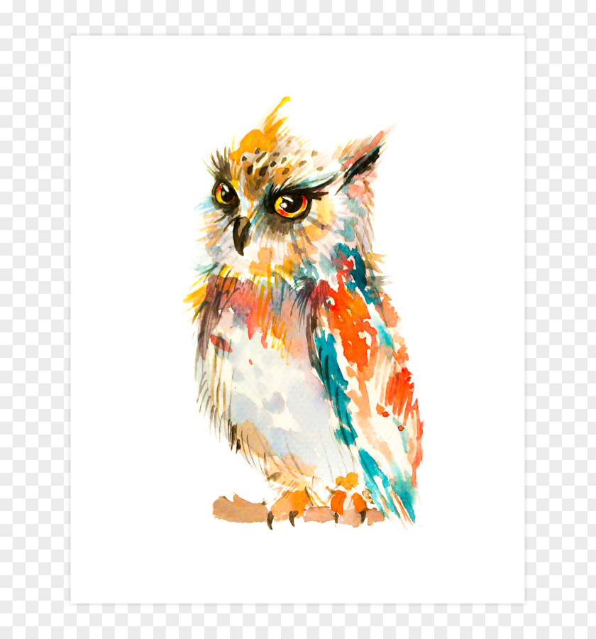 Owl Barn Watercolor Painting Art PNG