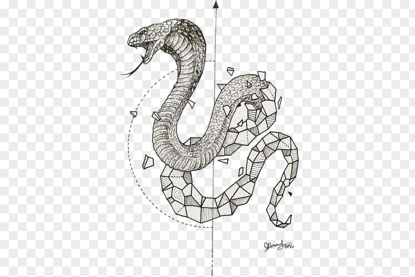 Tatuagens Rattlesnake Serpent Vipers Drawing PNG