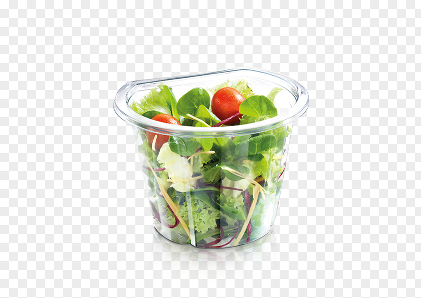 Mac Donalds Health Shake Glass Leaf Vegetable Tableware PNG