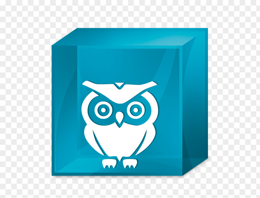 Owl Drawing PNG