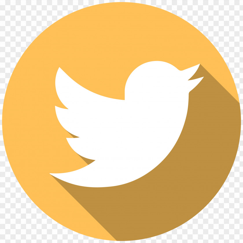 Twitter Social Media PNG