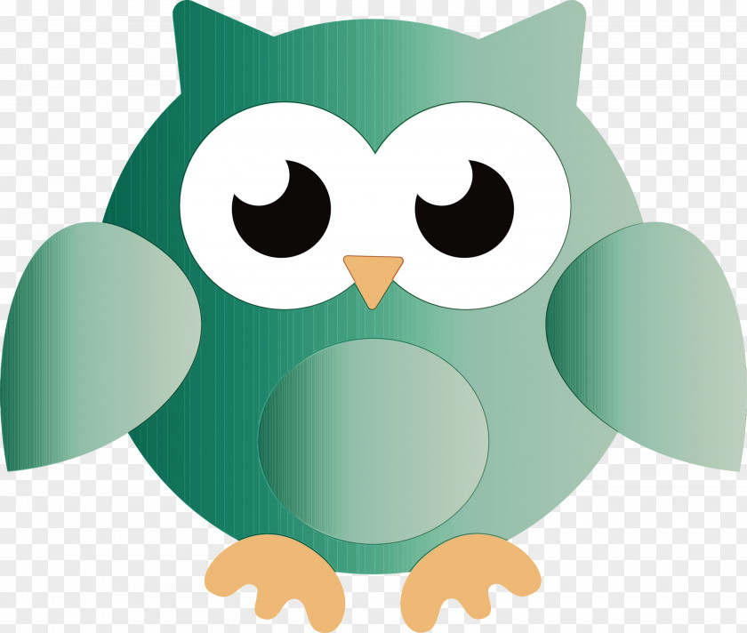 Beak Birds Green Cartoon Owl M PNG