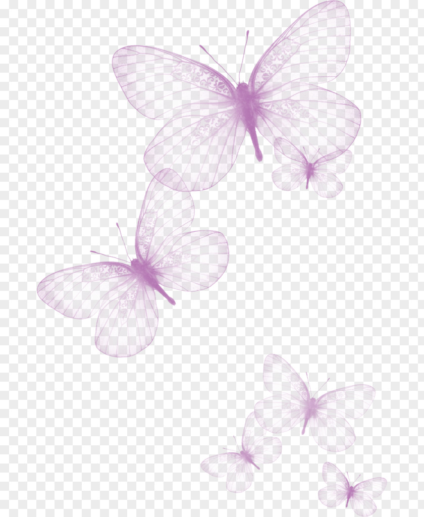 Creative Beautiful Butterfly Transparent Greta Oto Clip Art PNG