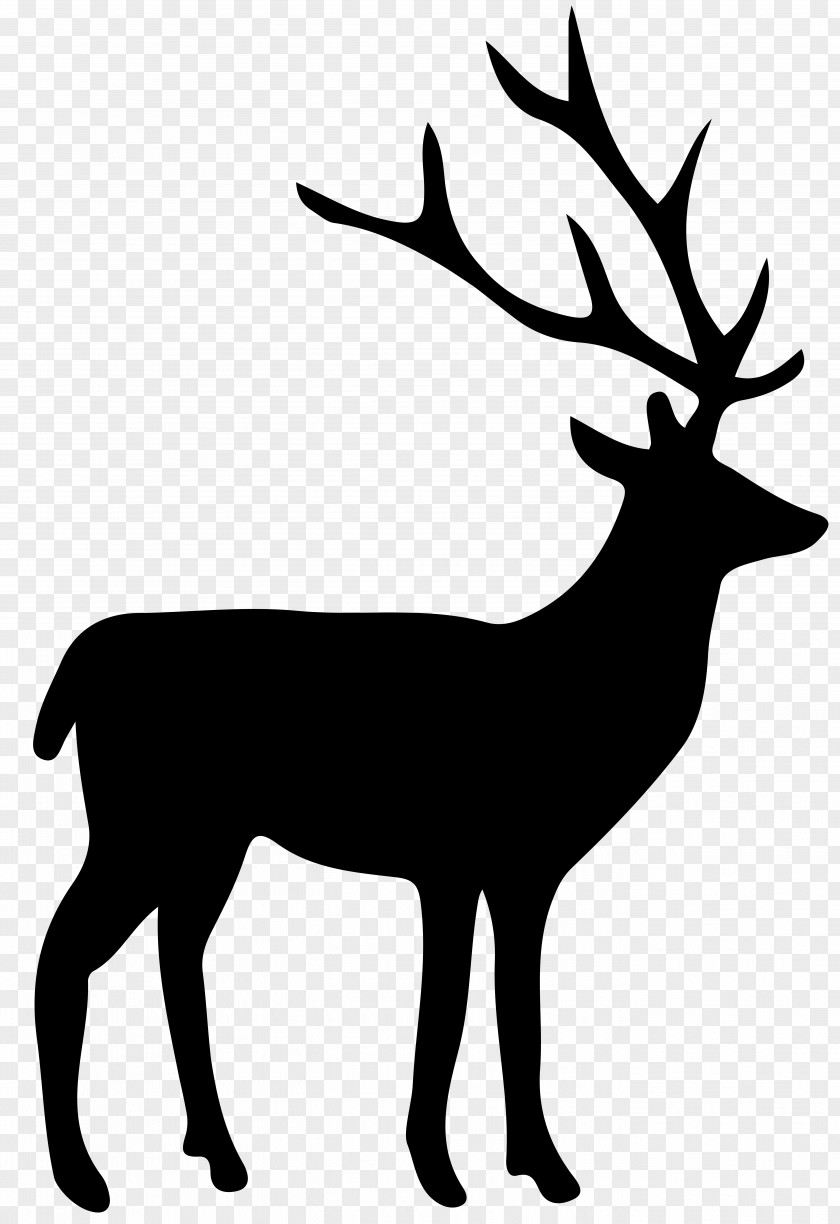 Deer Moose Image PNG