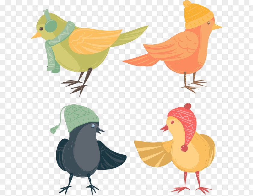 Hats Can Love Birds Bird Clip Art PNG