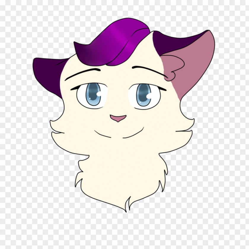 Kitten Whiskers Cat Horse PNG