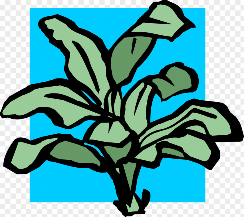 Leaf Plant Stem Flower Tree Clip Art PNG