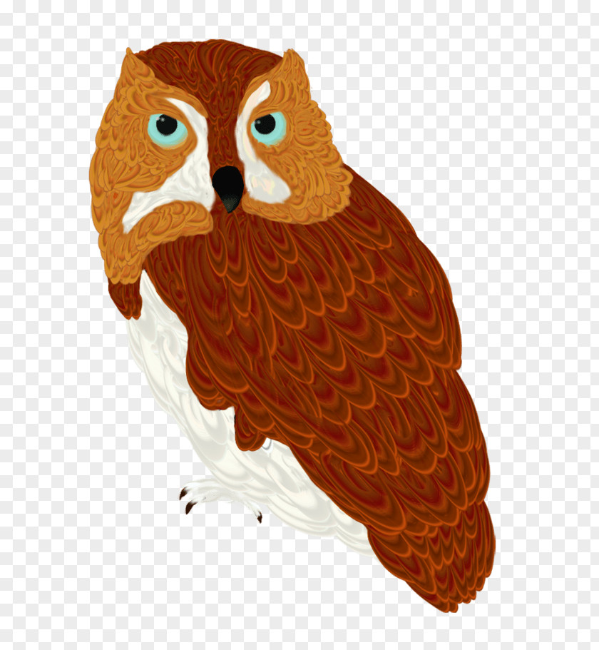 Owl Beak Orange S.A. PNG