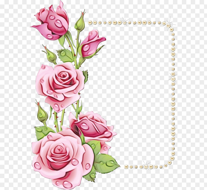 Petal Rose Order Watercolor Flowers Frame PNG