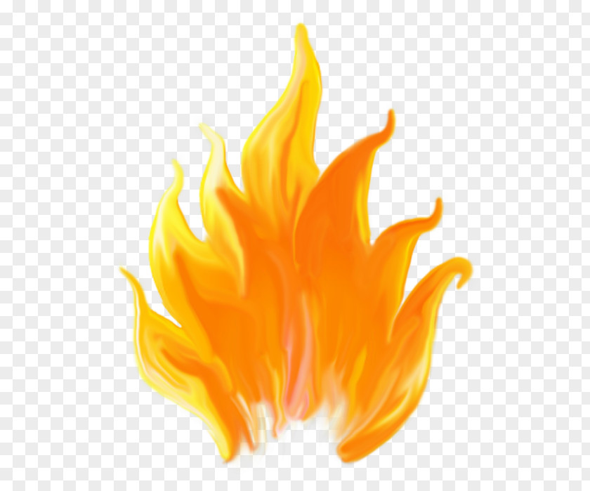 Yellow Orange Fire Flame PNG