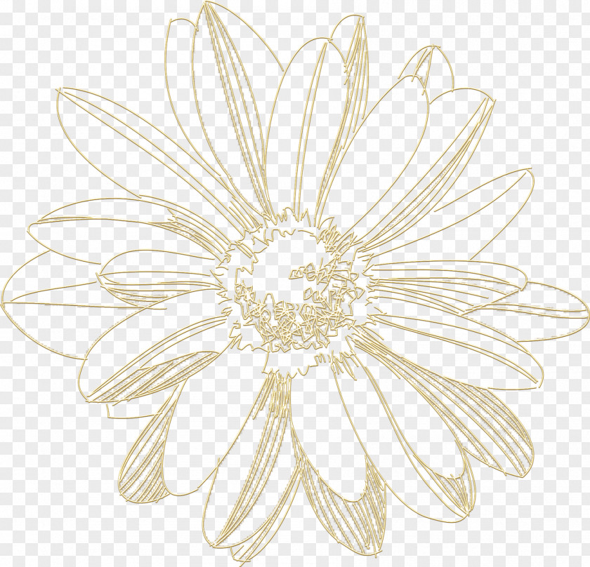 Flower Cut Flowers Floral Design Drawing PNG
