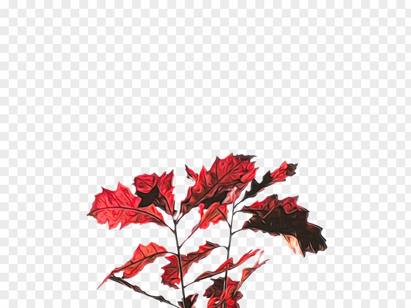 Leaf Twig Maple / M Meter Red PNG