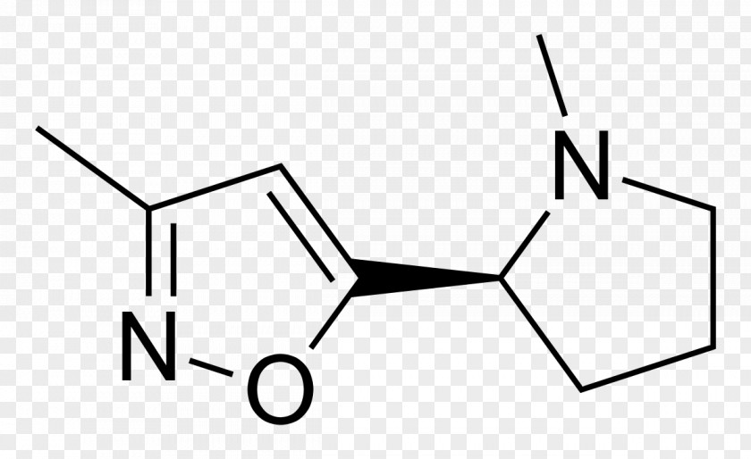 Nicotinic Agonist Nootropic Neuromuscular-blocking Drug Neuromuscular Junction Acetylcholine Receptor PNG