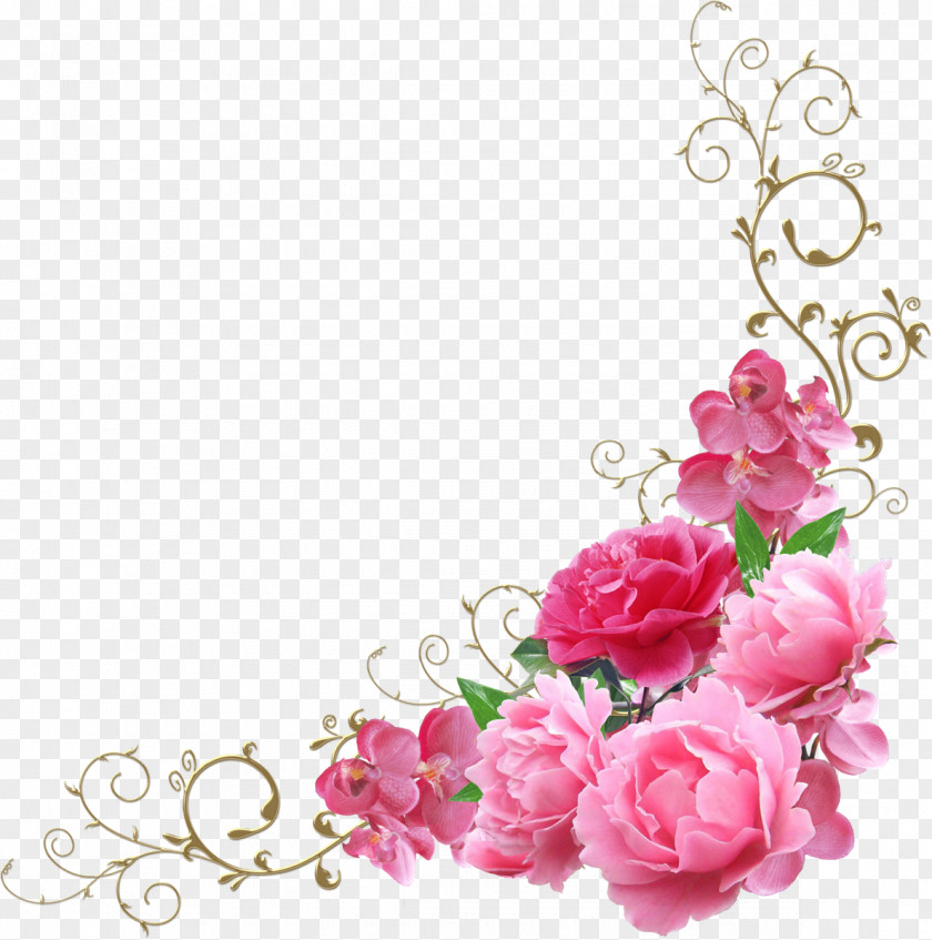 Peony Pink Flowers Clip Art PNG