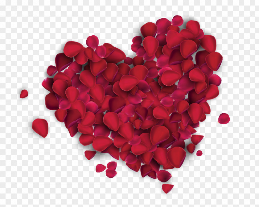 Senses Instituto De Recreacion Los Trabajadores Valentine's Day Gift Love IRTRA PNG