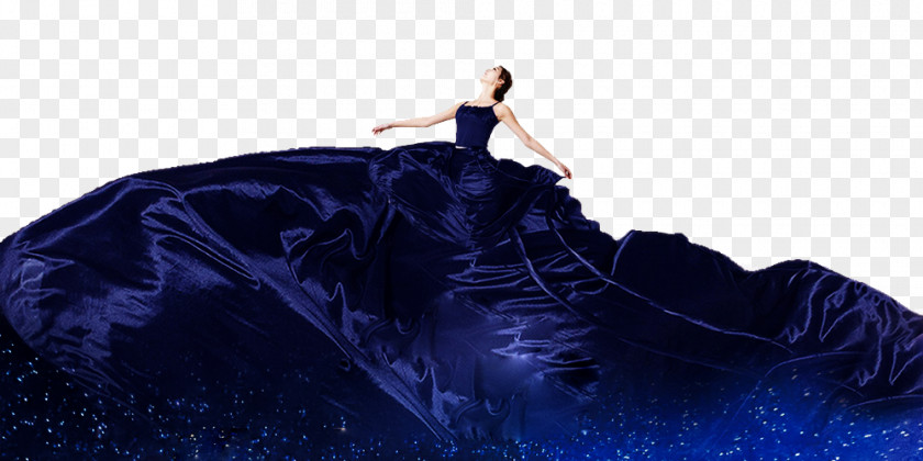 Star Skirt Poster PNG
