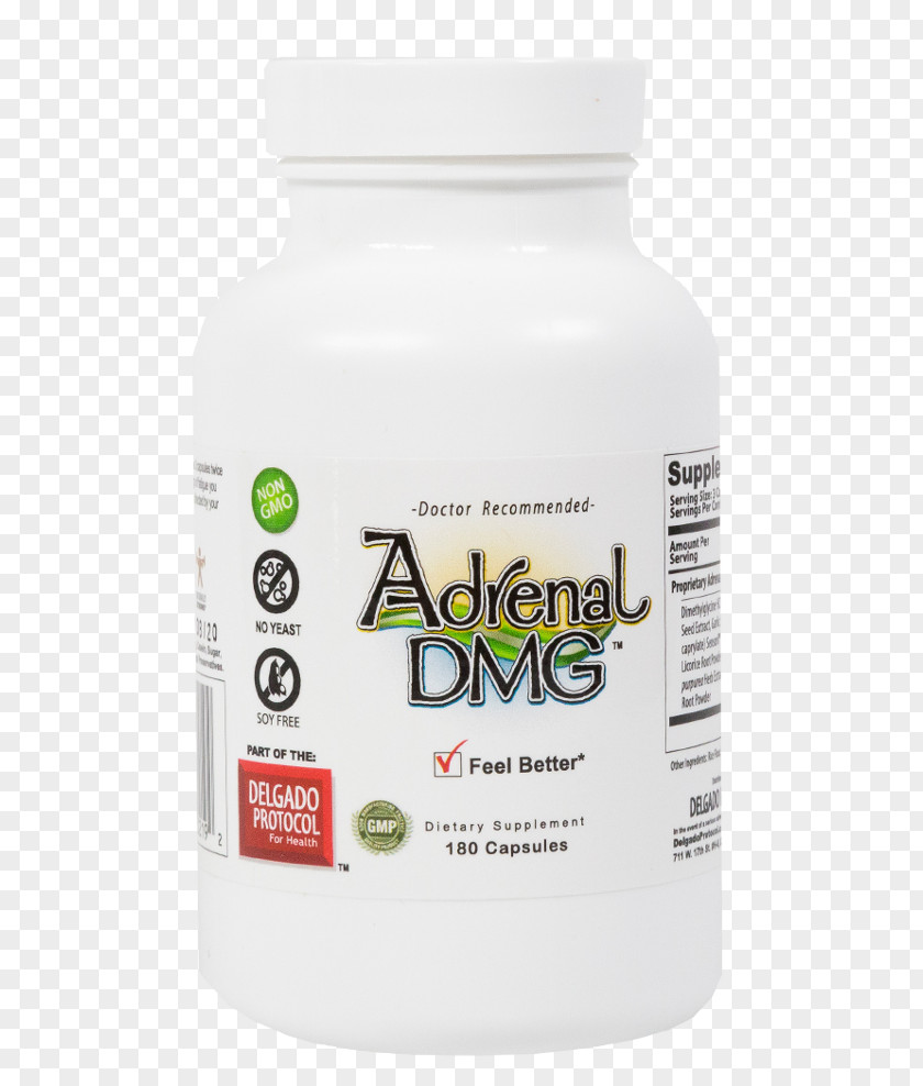 Adrenal Gland Circulatory System Hormone Dietary Supplement PNG