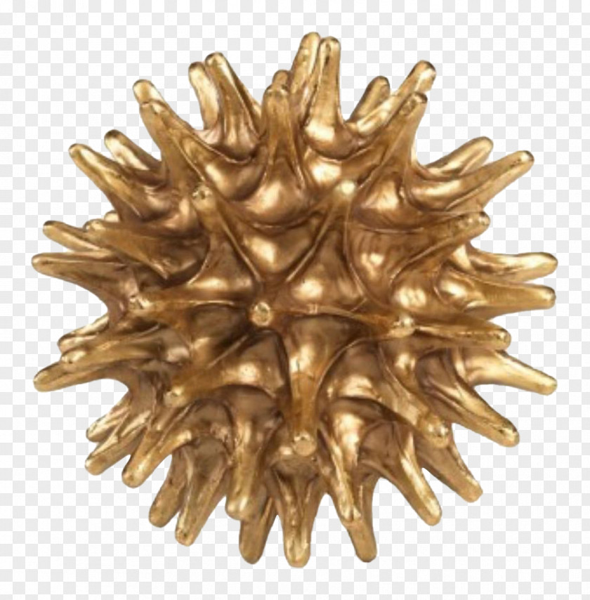 Brass Sea Urchin Wayfair Sculpture Statue PNG