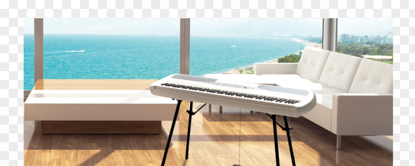 Digital Piano Korg SP-280 Musical Instruments PNG