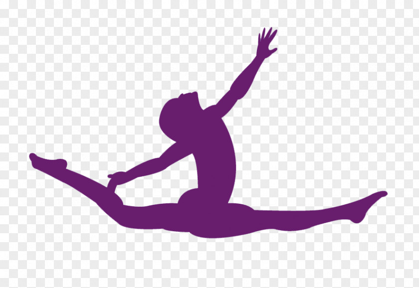 Gymnastics Competitive Artistic Rhythmic Silhouette PNG
