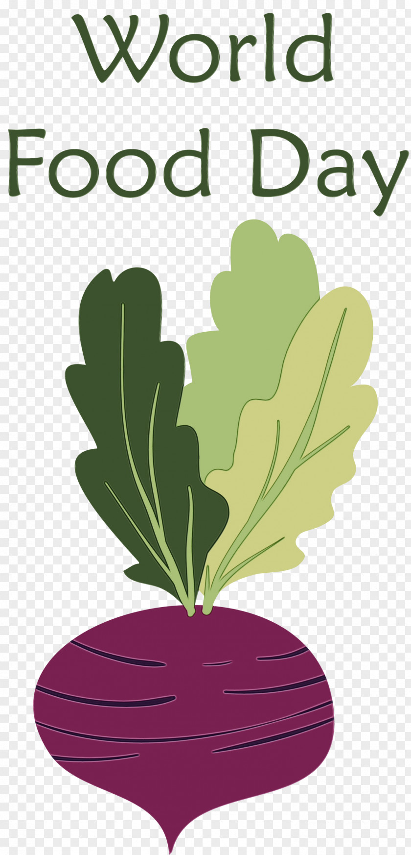 Leaf Vegetable Flower Leaf Cartoon Petal PNG