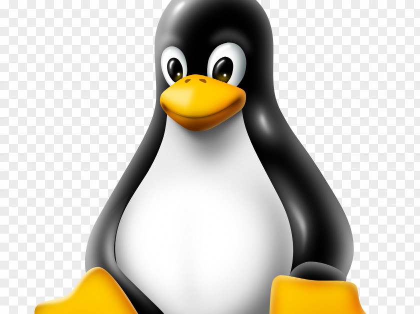 Linux Kernel Security Hacker PNG