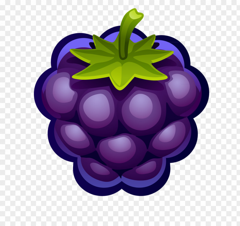 Raspberry Blueberry Fruit Clip Art PNG
