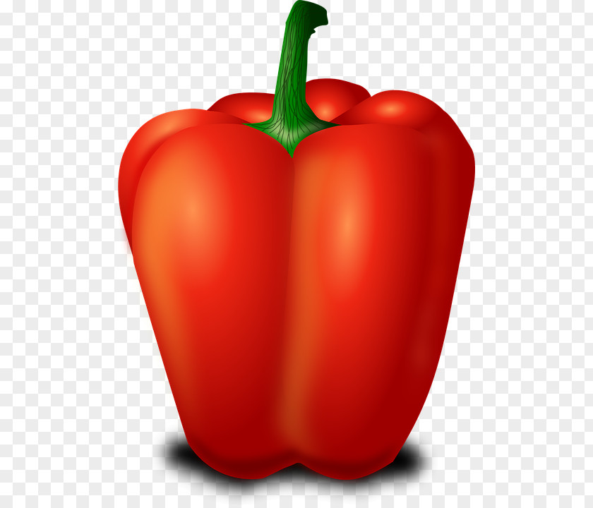 Vegetable Bell Pepper Chili Habanero Clip Art PNG